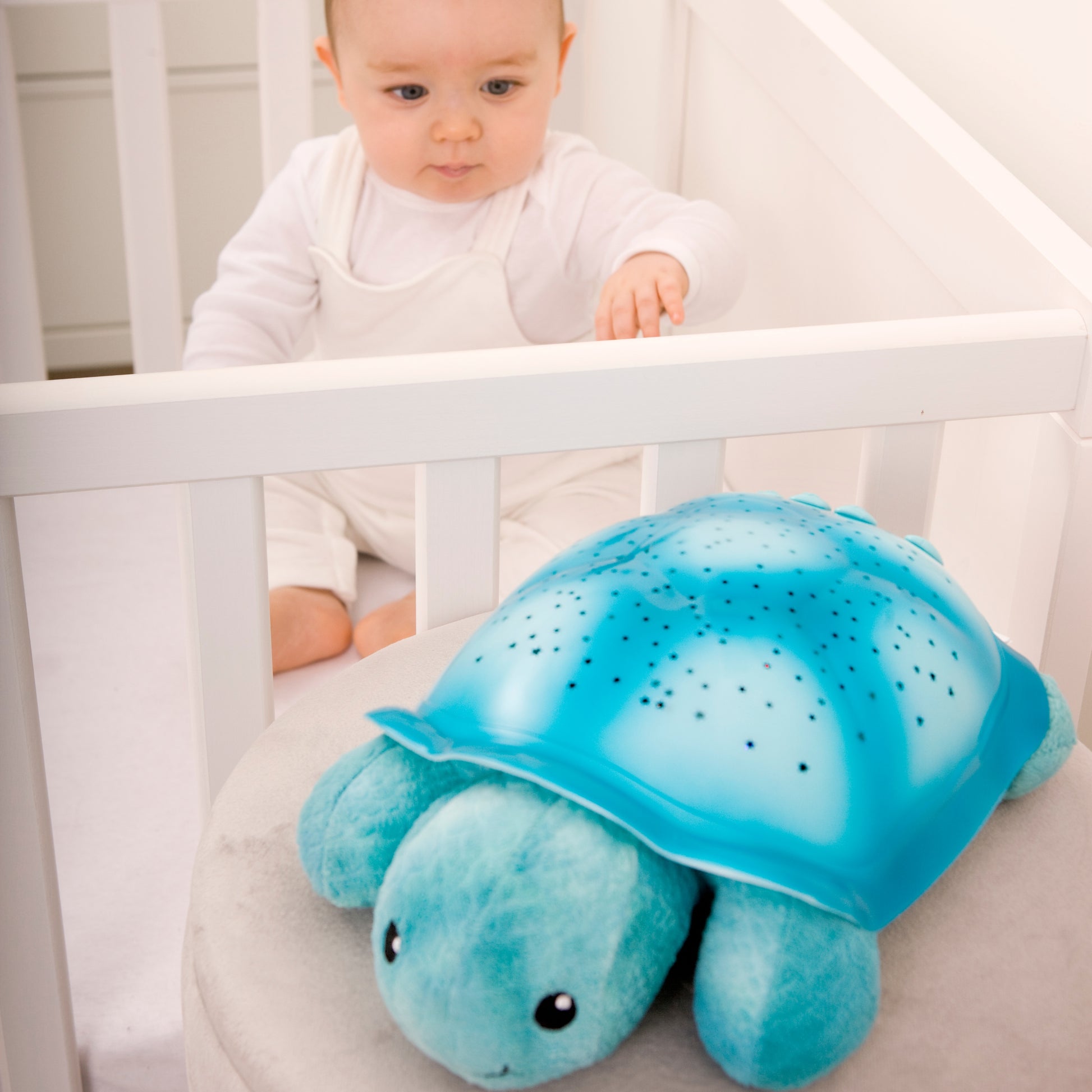 Twinkling Twilight Turtle | Aqua Star