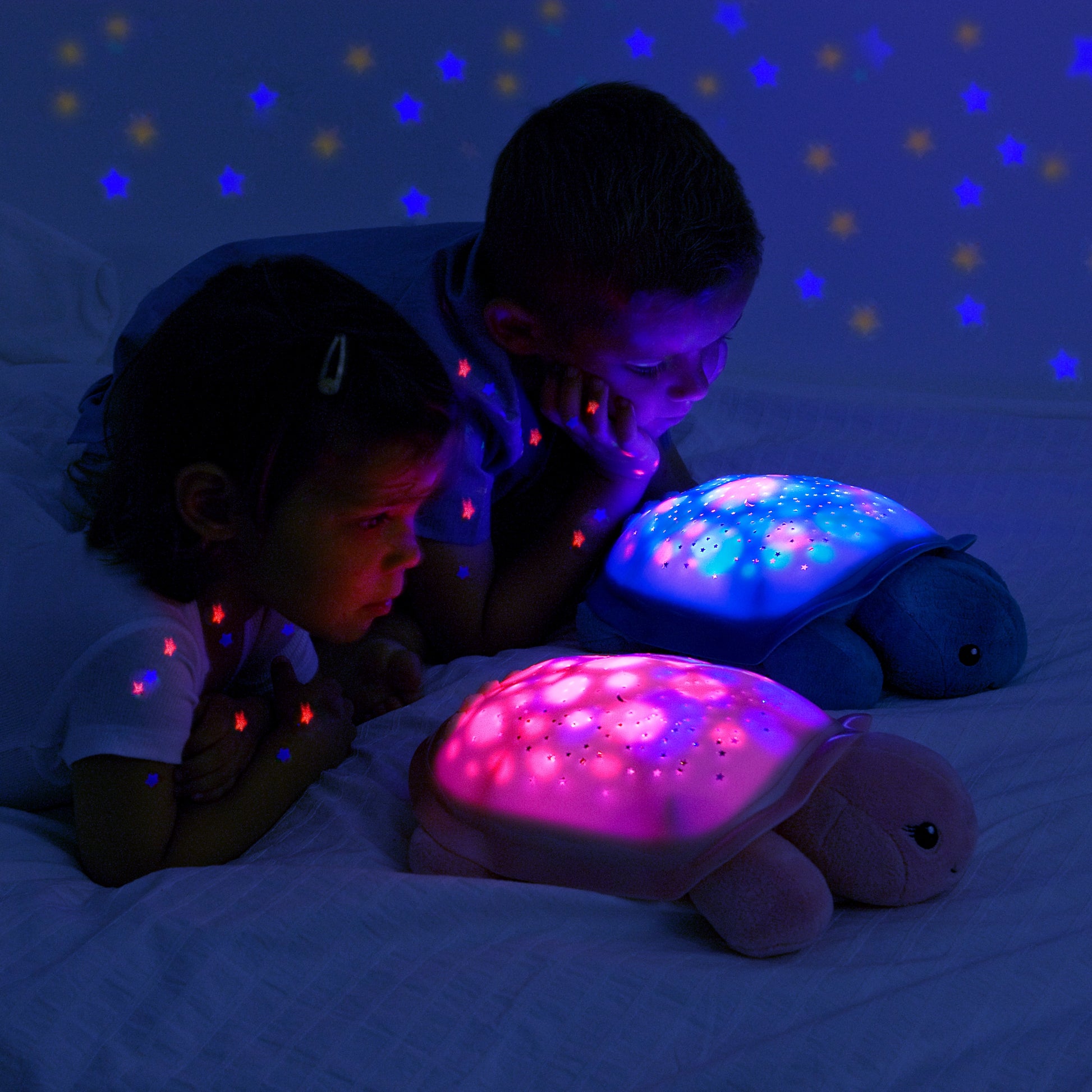 Twinkling Twilight Turtle | Aqua Star