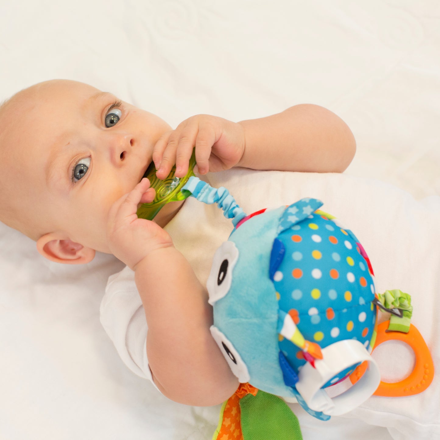 Travel Mirror Dazzle Friends Owl