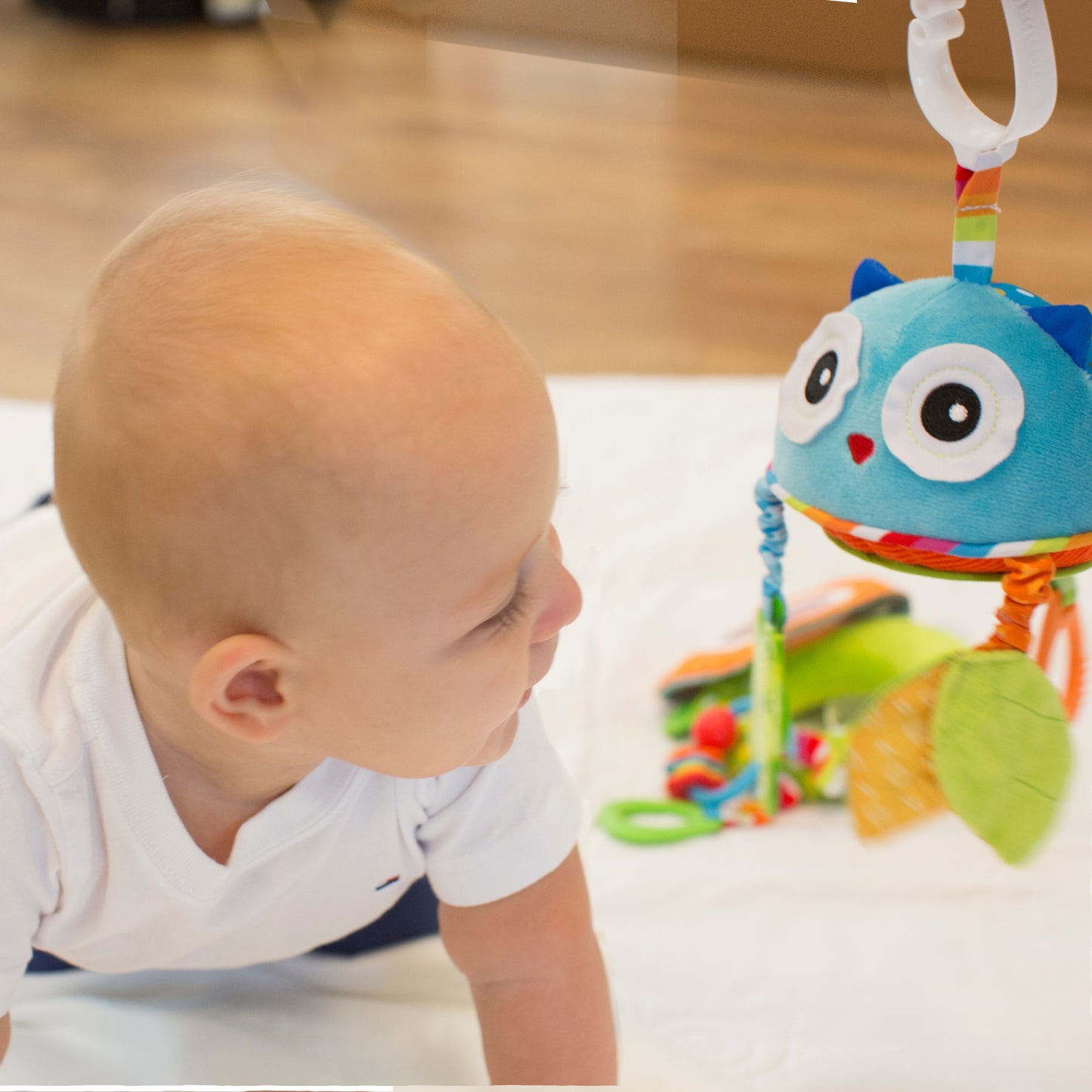 Travel Mirror Dazzle Friends Owl