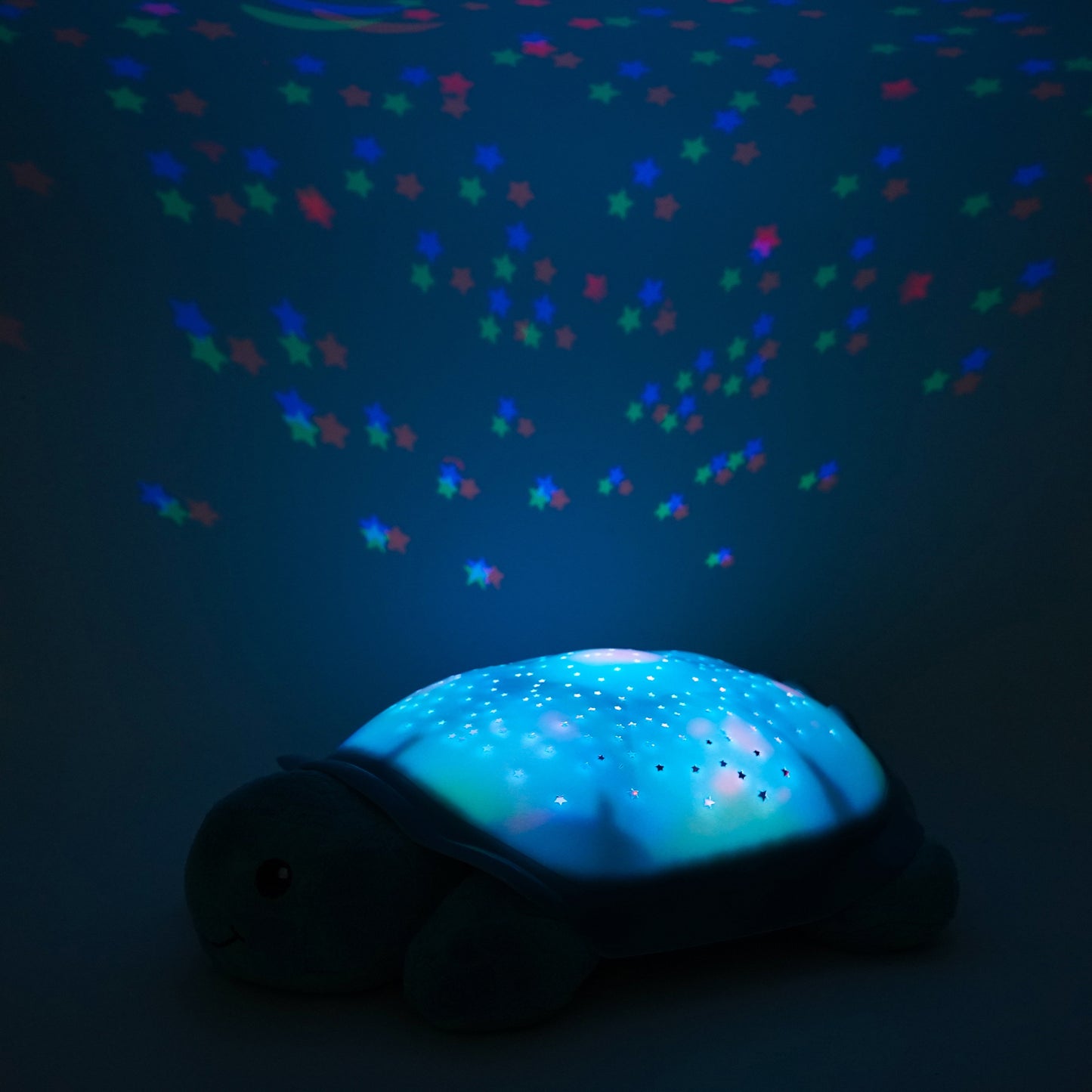 Twinkling Twilight Turtle | Aqua Star