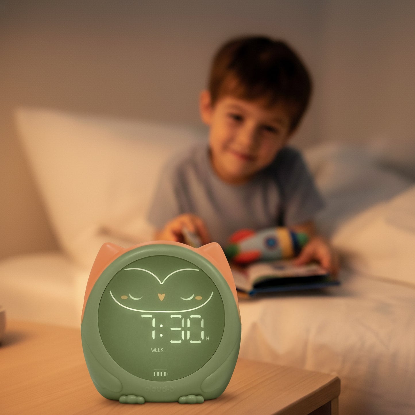 * Pre-Order Now *      Owlie - The Magical Sleep Trainer
