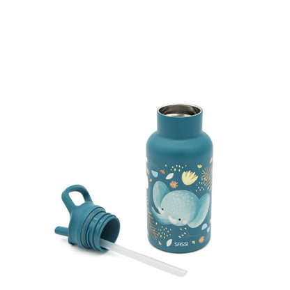 Stainless Steel Insulated Water Bottle for Kids – 350 ml