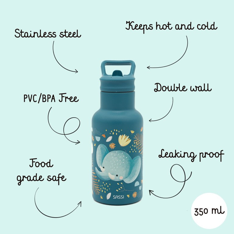 Stainless Steel Insulated Water Bottle for Kids – 350 ml
