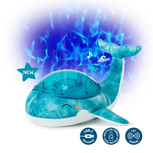Tranquil Turtle Nightlight | Rechargeable & Eco-Friendly | Aqua