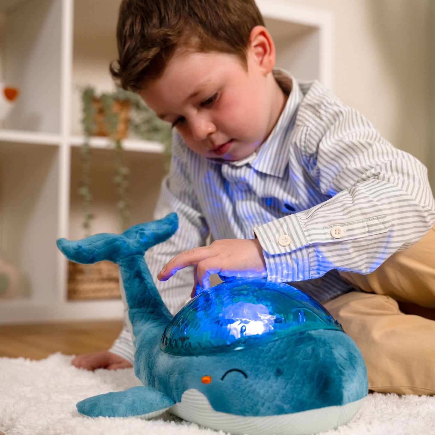Tranquil Turtle Nightlight | Rechargeable & Eco-Friendly | Aqua