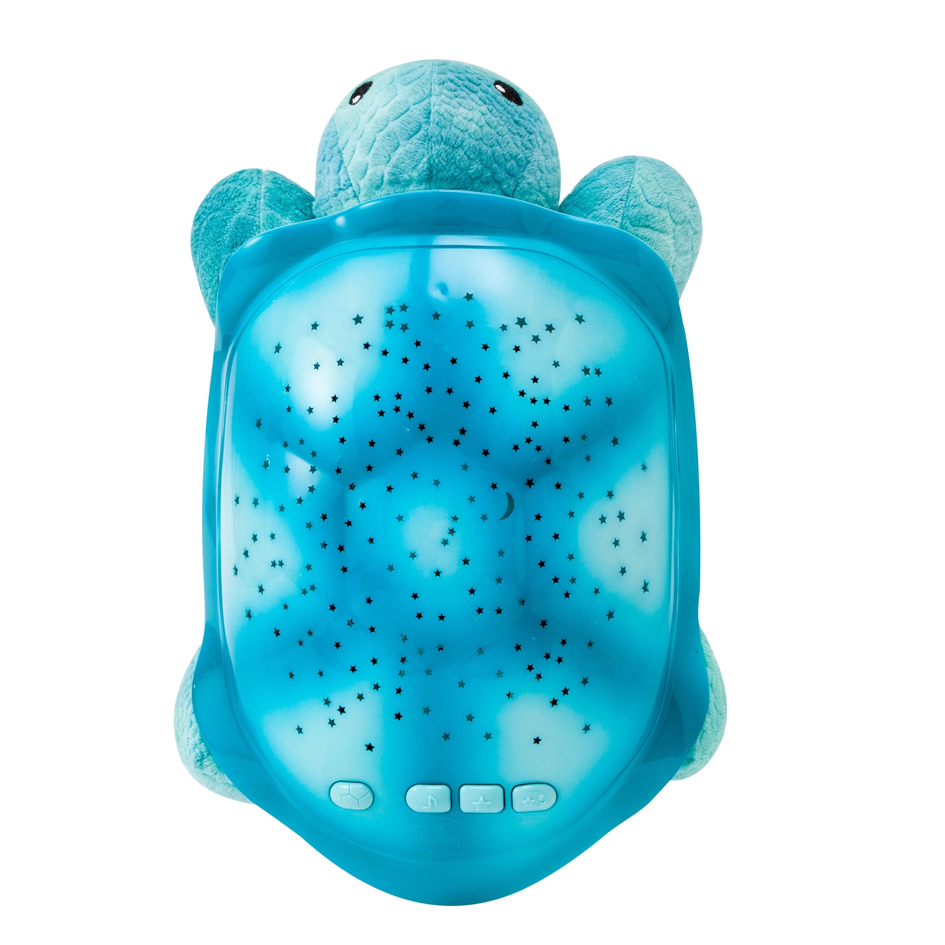 Twinkling Twilight Turtle | Aqua Star
