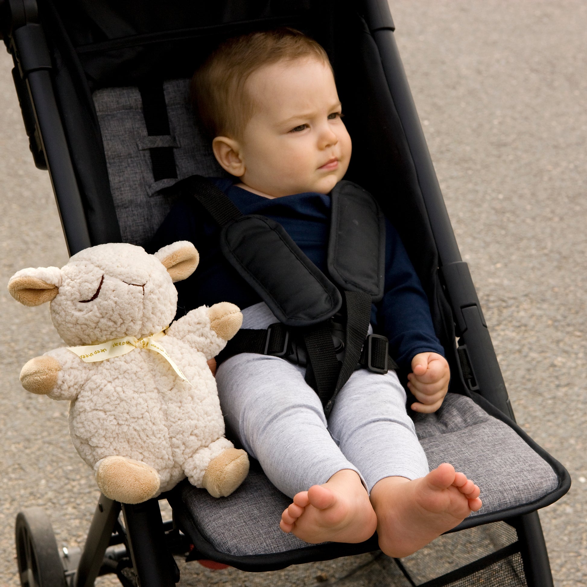 Sleep Sheep On The Go | Soothing Sound Machine