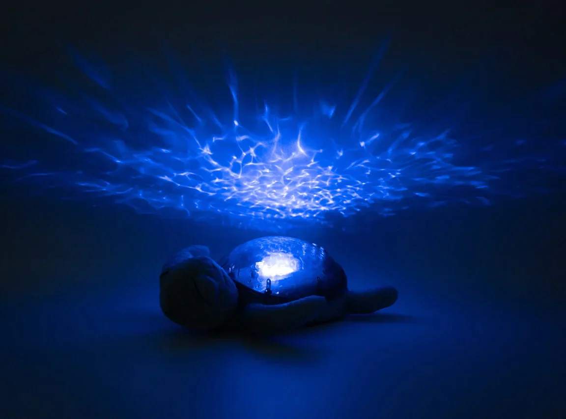 Tranquil Turtle Rechargeable | Aqua