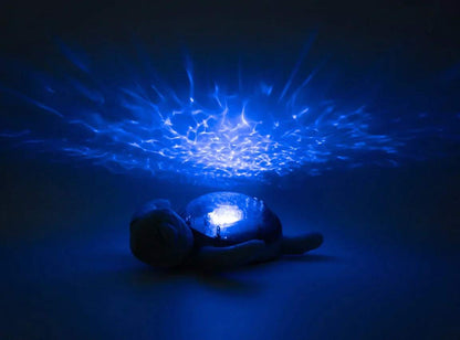 Tranquil Turtle Rechargeable | Aqua