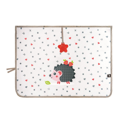 Square Magnetic Sunshade