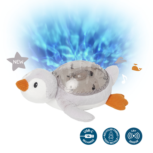 Tranquil Penguin