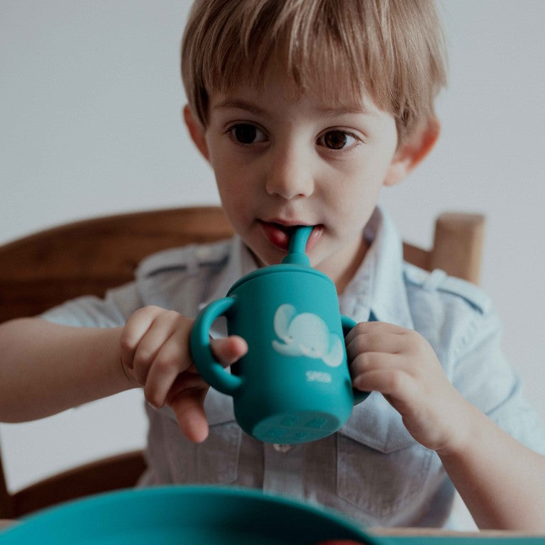 Silicone Straw Cup
